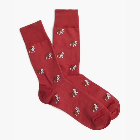 Tommy Dog Funky Socks