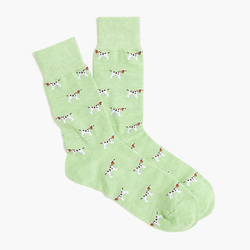Pointer Dog funky Socks