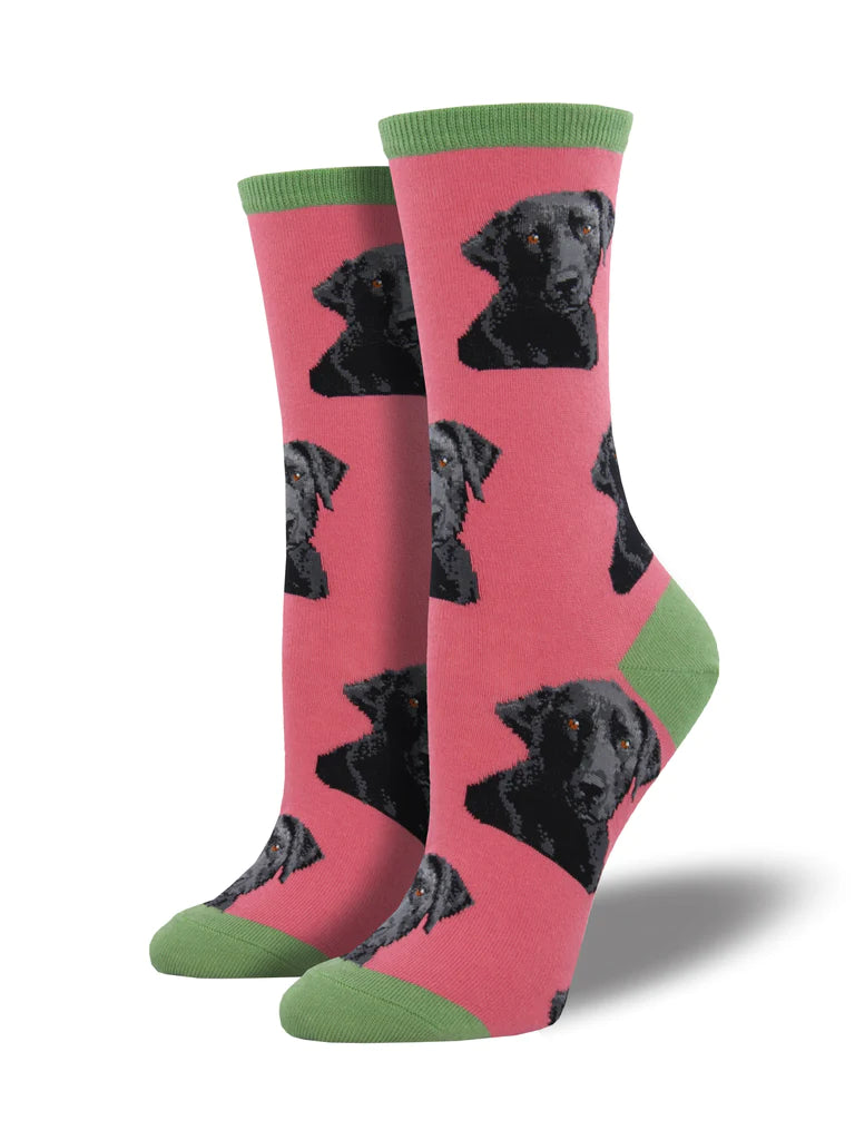 Labrador Dogs Funky Socks